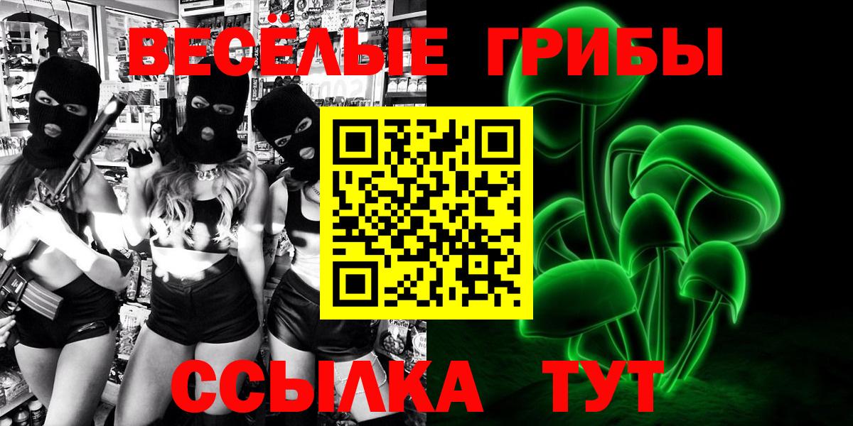 Псилоцибиновые грибы Psilocybe Владикавказ