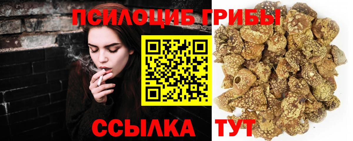где можно купить   Вход с VPN  Владикавказ  Псилоцибиновые грибы прущие грибы  Псилоцибиновые грибы прущие грибы 